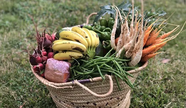 Légumes frais et bio
